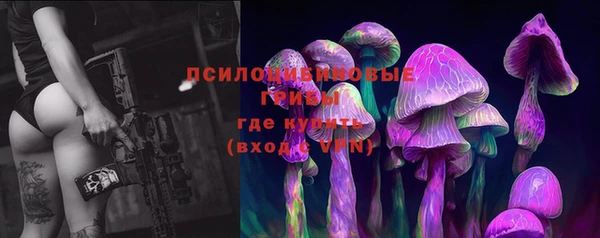 СК Алзамай