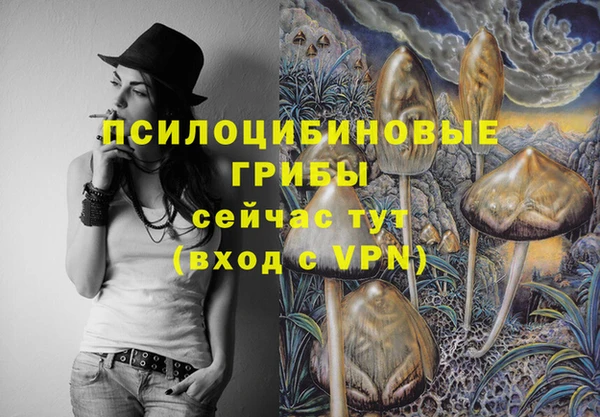 СК Алзамай