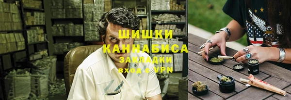 крисы Коряжма