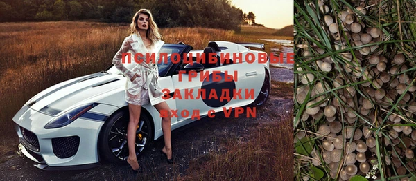 первитин Алексеевка