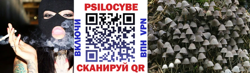 Галлюциногенные грибы MAGIC MUSHROOMS  как найти закладки  Жердевка 