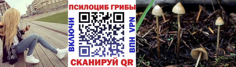 Галлюциногенные грибы MAGIC MUSHROOMS Жердевка