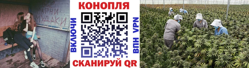 Бошки Шишки гибрид  OMG ссылка  Жердевка 